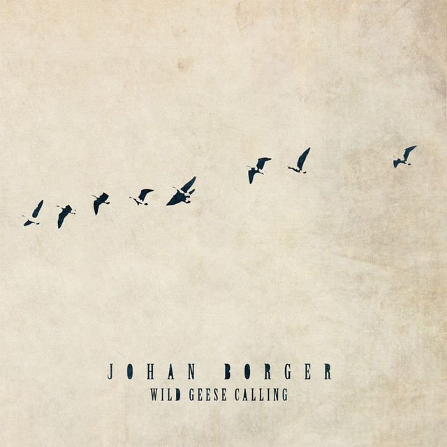 WIld Geese Calling